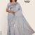 Gray Silk Handlooms Saree GS832