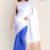 White & Blue Handlooms Cotton Saree DC847