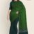 Green Handloom Cotton Saree DC783