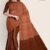 Brown Handlooms Cotton Saree DC1563