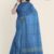 Denim Handlooms Glossy Cotton Saree G2371