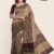 Brown Shaded Handlooms Silk Saree JS863