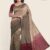 Shaded Handlooms Silk Saree JS935