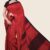 Red Handlooms Silk Saree JS1529