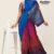 Shaded Handlooms Silk Saree DS351