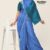 Blue Handlooms Silk Saree JS1732