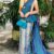 Bluish Handlooms Silk Saree ES1191