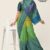 Green Shaded Handlooms Silk Saree MS1359