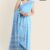 Light Blue Handlooms Glossy Cotton Saree G2667