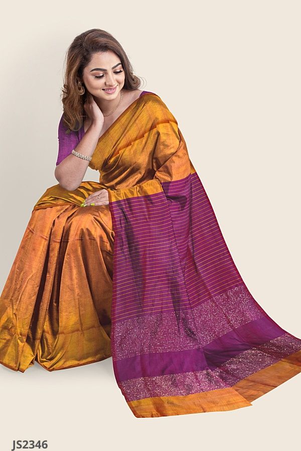 Meera Nandan stuns in a traditional saree at Sreejith Vijay's wedding!