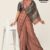 Brown Handlooms Silk Saree JS2361