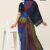 Multi Colours Handlooms Silk Saree JS2434