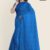 Blue Handlooms Glossy Cotton Saree G2936
