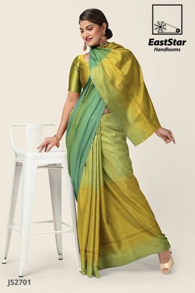 Multi Handlooms Silk Saree JS2701