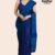 Blue Handloom Cotton Saree DC2561