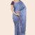 Ash Indian Saree A110