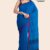 Blue Handloom Cotton Saree DC2861