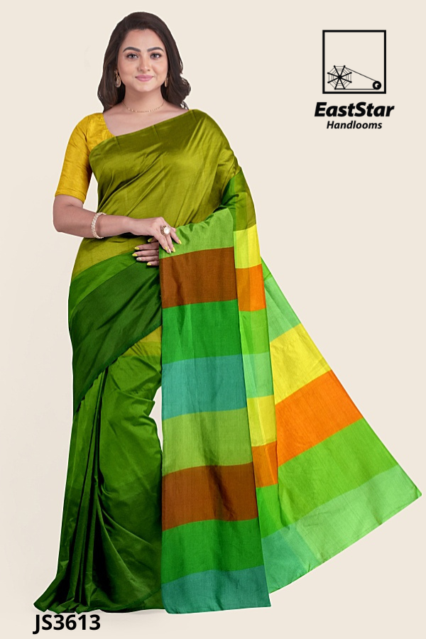 Multi Colour Handloom Silk Saree JS3613