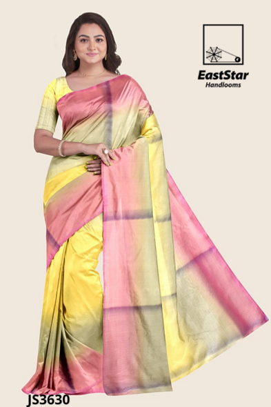 Multi Colour Handloom Silk Saree JS3630